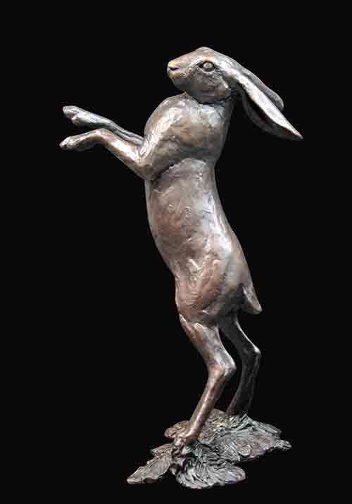 Hare Standing