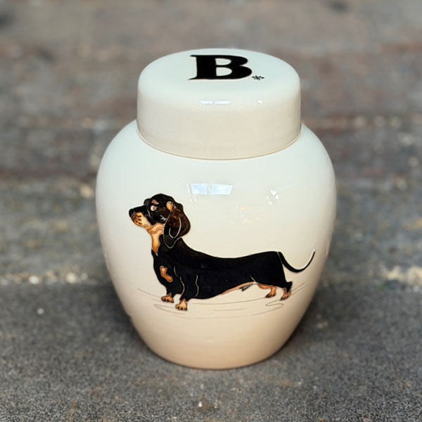 Dachshund