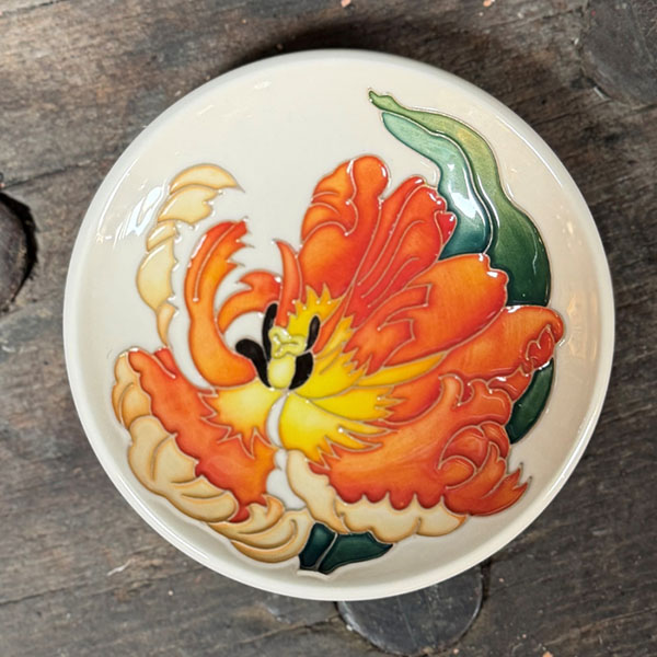 Flames of Spring