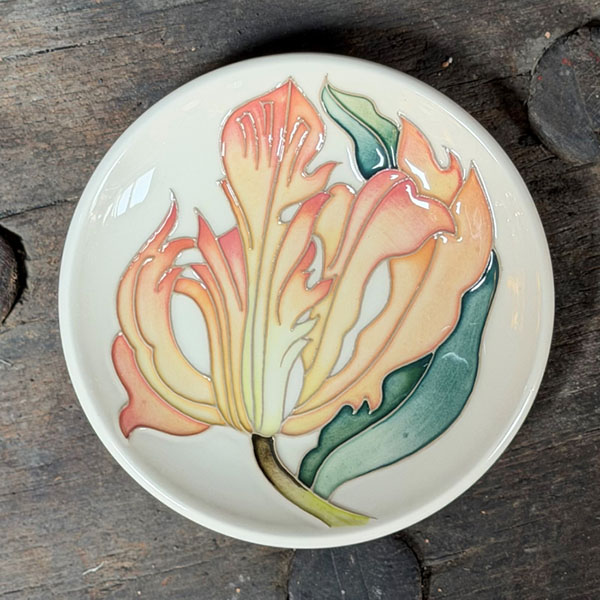 Flames of Spring