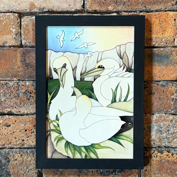 Gannet Colony