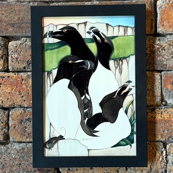 Razorbill Colony